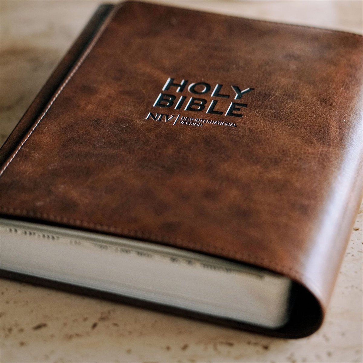 Telugu Holy Bible – Large Print, Leather Finish